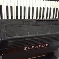 fisarmonica Elcavox