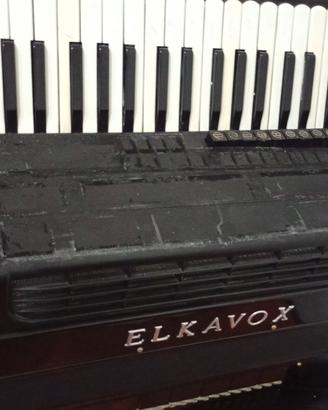 fisarmonica Elcavox