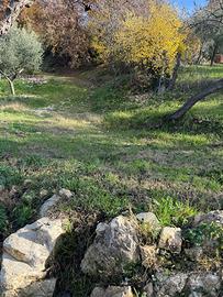 Terreno a Montorio Romano