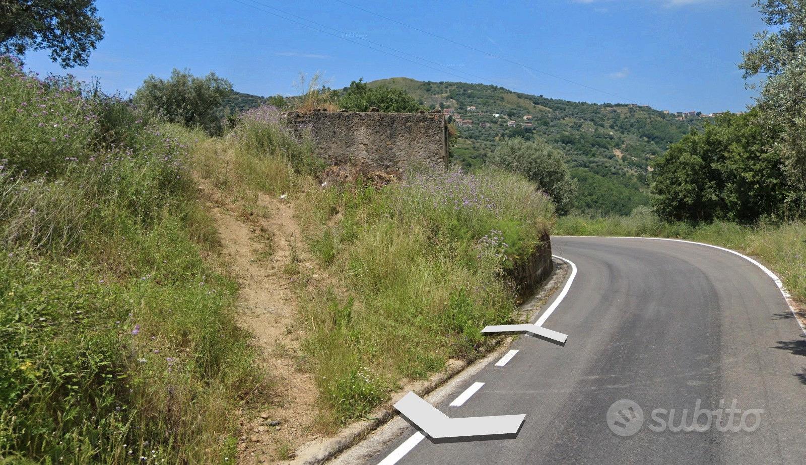 Terreno con uliveto e 2 ruderi vista mare - Altro