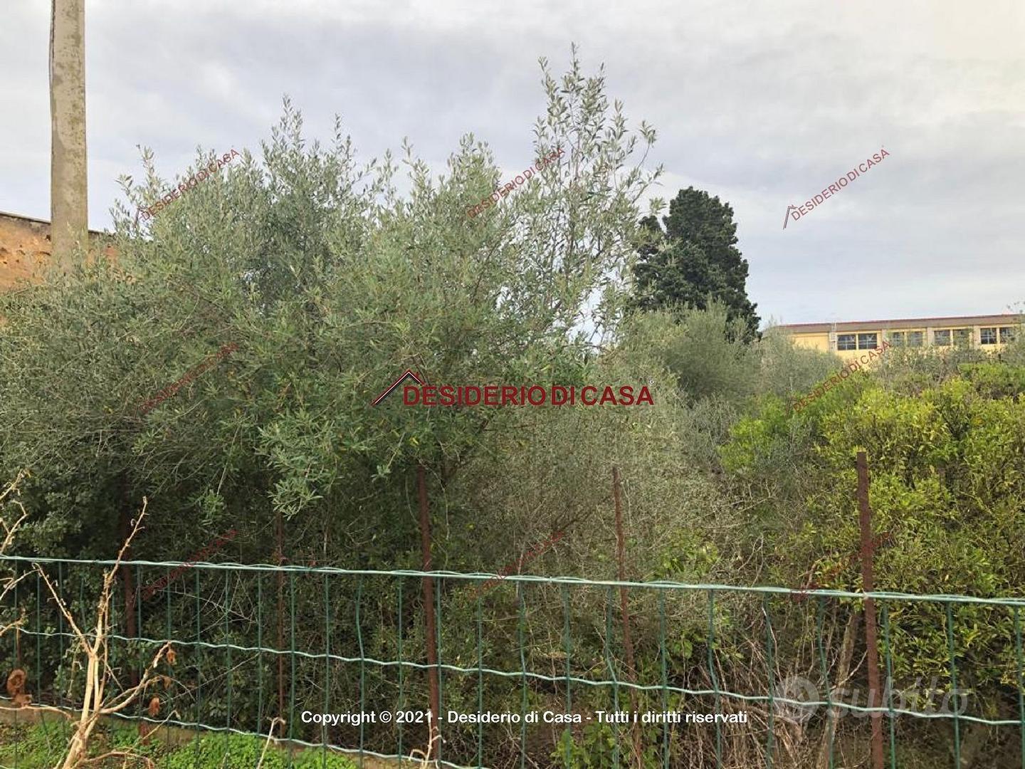 Terreno, Stazione - Mattarella, Bagheria. - Vista 3
