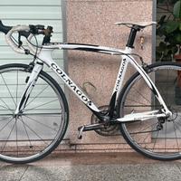 Colnago CLX Fibra di carbonio integrale bici