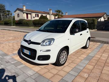 Fiat Panda 1.2 benzina Lounge