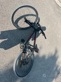 Bici perfetta