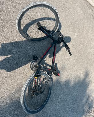 Bici perfetta