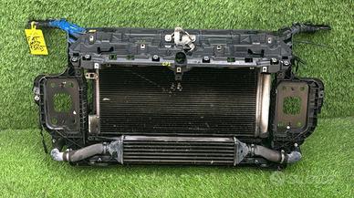 CALANDRA FIAT Punto EVO (12>)