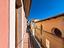Immagine 17
