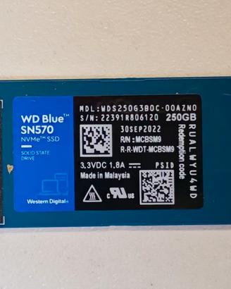 SSD WD Blue M2 M.2 2280 NVMe SN570 256GB - 100%