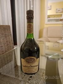 champagne taittinger Blanc de blancs 1973