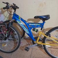  bici 24