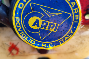 Motopompa carriola irrigazione 50lt