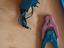 Immagine 3