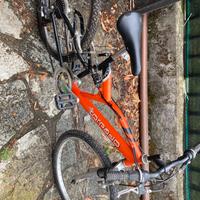 Mountain bike ragazzo