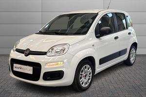 FIAT Panda 3ª serie - Panda 1.2 Pop U1058556