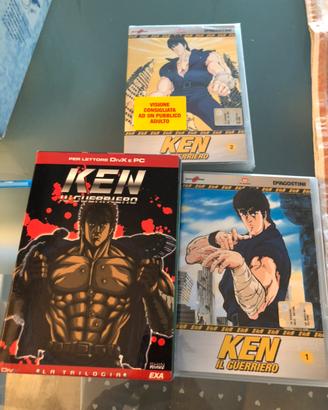 Dvd ken il guerriero