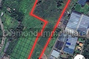 Terreno edificabile a Fiumefreddo di Sicilia