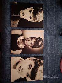 Quadri di Audrey hepburn