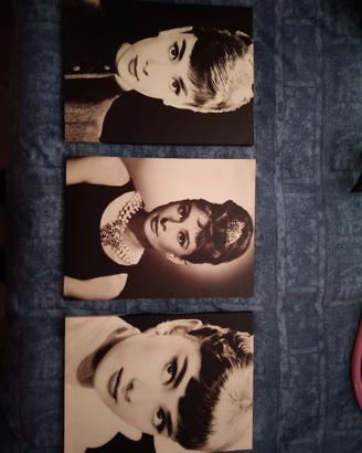 Quadri di Audrey hepburn