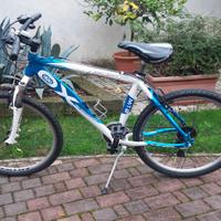 Bicicletta mountain bike