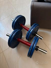 Manubri da palestra