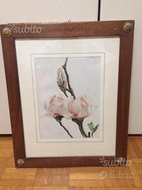 Magnolia in fiore, Antica cromolitografia colorata