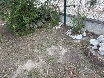 Sassi decorativi da giardino