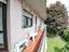 Immagine 24