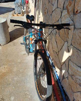 bici mtb