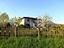 Immagine 1