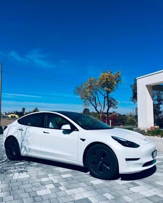 Tesla Model 3 Long Range Awd autopilot avanzato