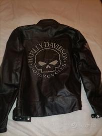 Giubbino moto Harley-Davidson Skull taglia M