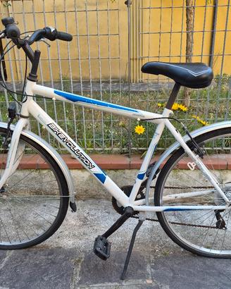 Bicicletta City Bike 28"