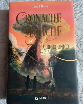 Libro: Cronache magiche