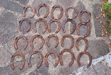 20 ferri di cavallo