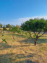 Lotto di terreno non edificabile
