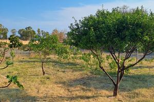 Lotto di terreno non edificabile