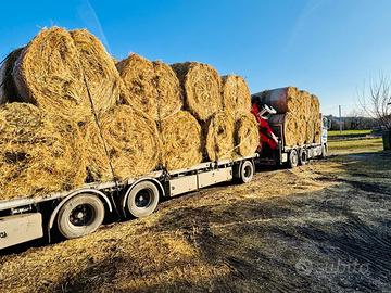 Fieno di Prato Stabile zona collinare montana
