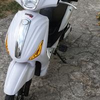 Bicicletta elettrica con pedalata assistita Z-Tech