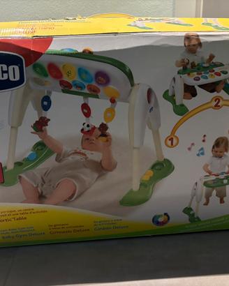 Palestra gioco evolutiva 3+