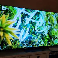 TV LG OLED 65C34LA 