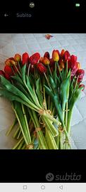 fiori pvc lattice realistici tulipani