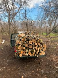 Legna da ardere nocciolo