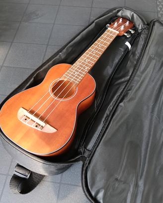 Ukulele / chitarra