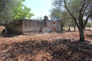 TER. AGRICOLO A CAROVIGNO