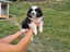 Immagine 29