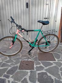 Mountain bike