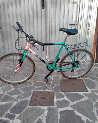 Mountain bike