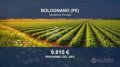 Immobile in asta di 18990 m² a Bolognano