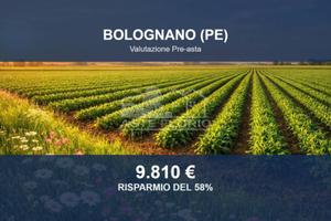 Immobile in asta di 18990 m² a Bolognano