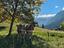 Immagine 12